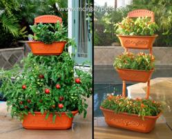 Get growing with the MonkeyPots Perfect Patio Planter!